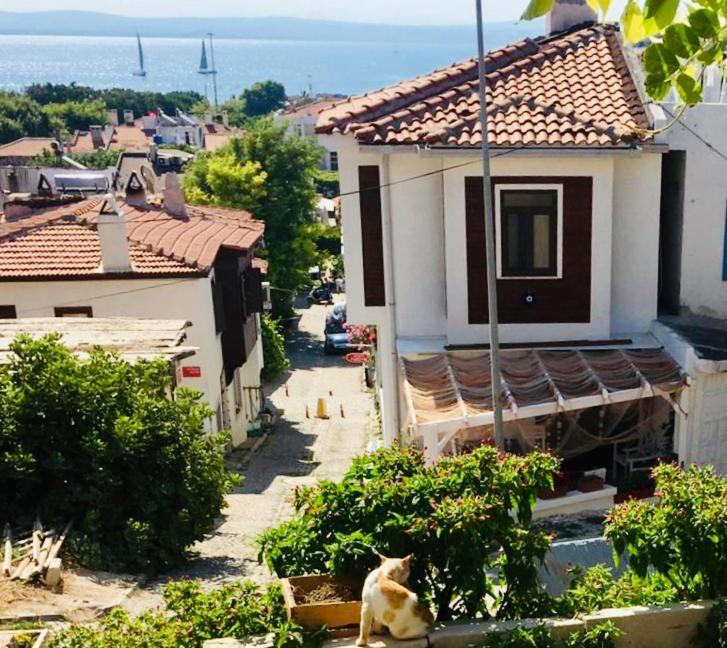 Vapori Otel بوزجادا المظهر الخارجي الصورة